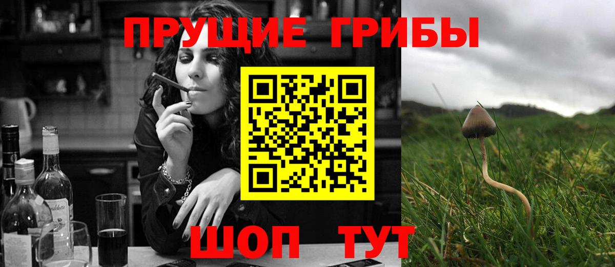 Янаул  Псилоцибиновые грибы Psilocybe  Галлюциногенные грибы Magic Shrooms  Вход с VPN 